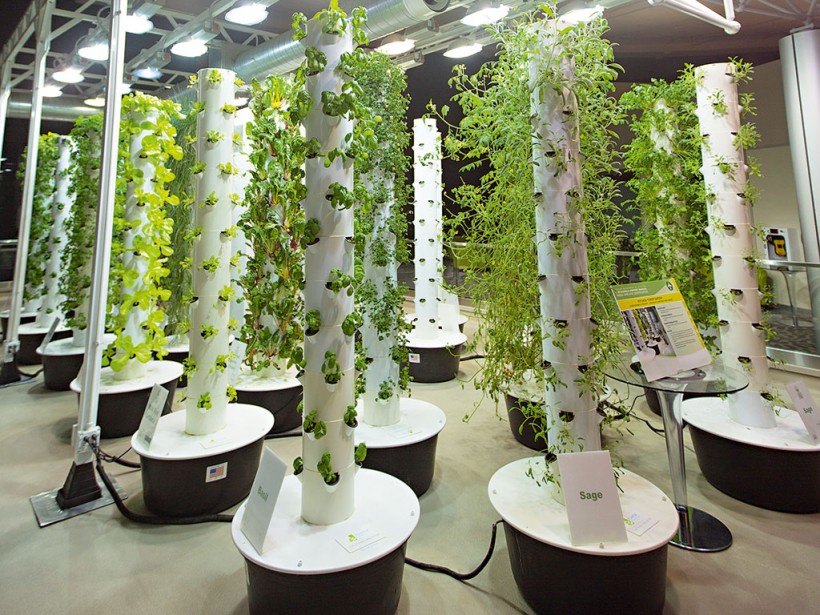 Vertical Farming Is Going To Feed Us All – The New Economy